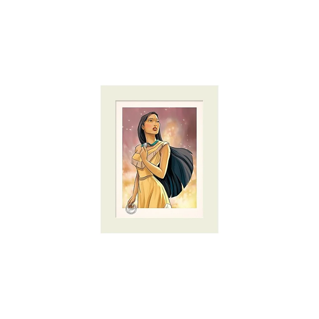 Limited edition panel Pocahontas Disney Store Disney Store - 1