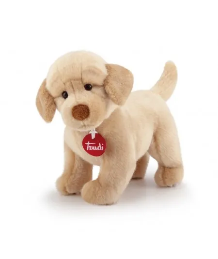 Plush dog labrador Liam size S 22872 Trudi Trudi - 1