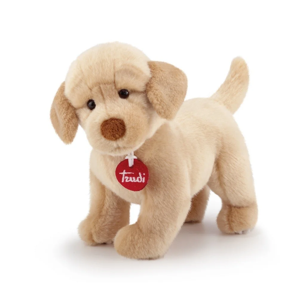 Plush dog labrador Liam size S 22872 Trudi Trudi - 1