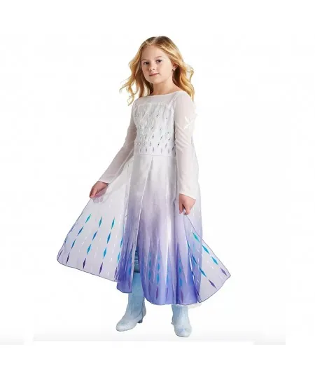 Frozen 2 Elsa Princess Long Sleeve Tulle Girl Costume Dresses with Cap –  ilovethedress