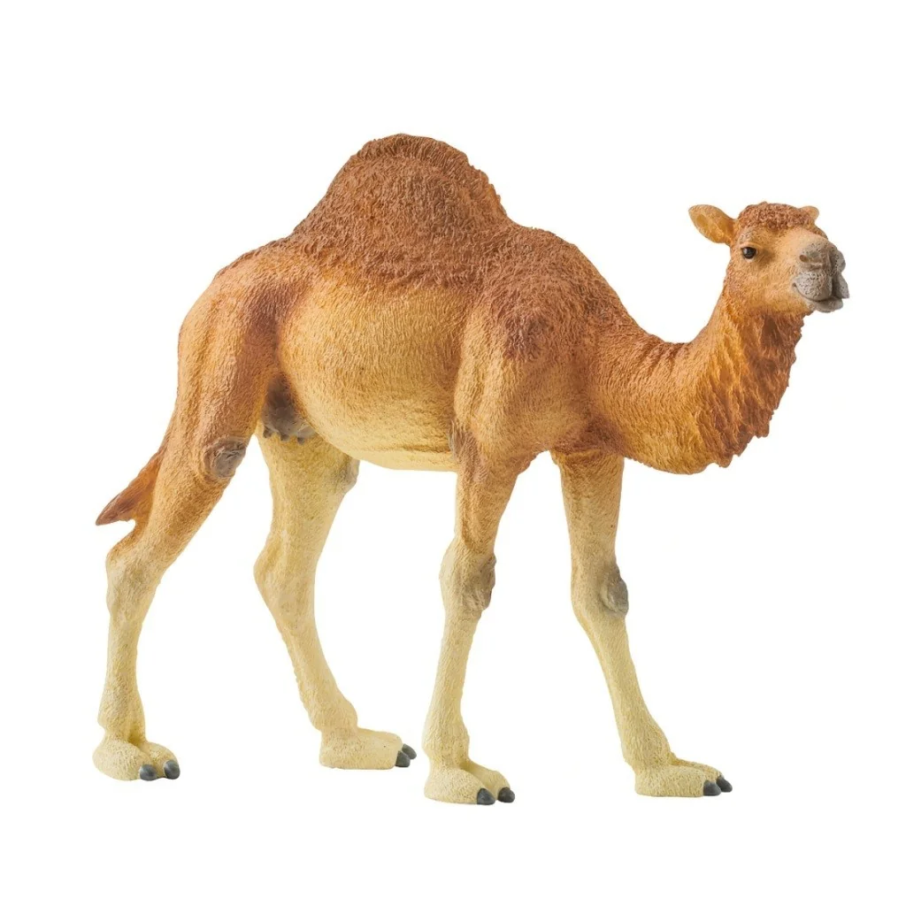 Figura dromedario 14832 Schleich Schleich - 1