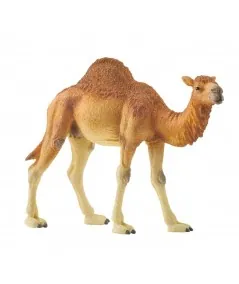 Figure dromedary 14832 Schleich Schleich - 1