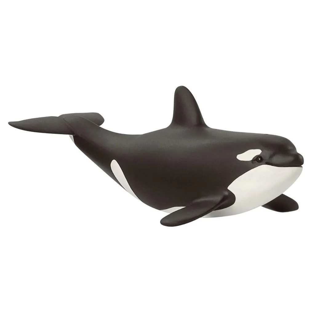Figurine bébé orque 14836 Schleich Schleich - 1 Figurine bébé orque 14836 Schleich Schleich - 1