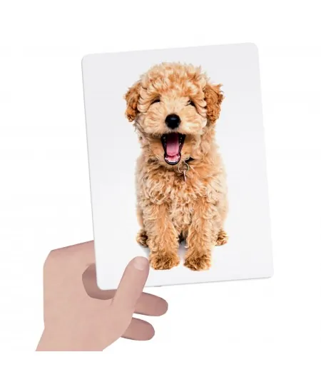 Juego educativo Montessori tattile MU23738 Headu Headu - 3