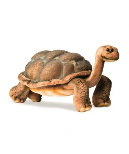 Plüschtier galapagos 6461 schildkröte Hansa Hansa - 1