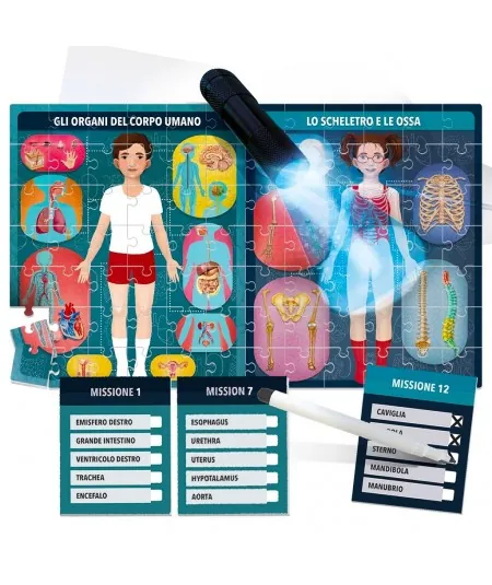 X-ray human body game EN21543 Headu Headu - 2