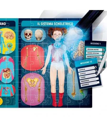 X-ray human body game EN21543 Headu Headu - 3