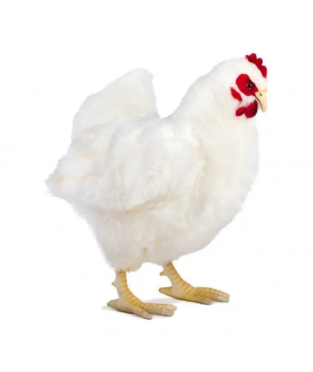 Plush white chicken 4172 Hansa Hansa - 1