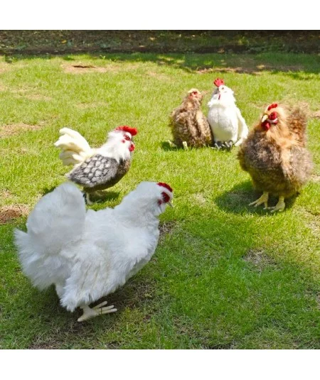 Peluche poulet blanc 4172 Hansa Hansa - 4