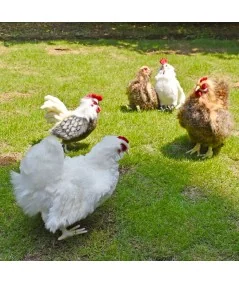 Plüschtier weißes huhn 4172 Hansa Hansa - 4