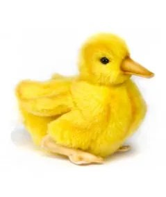 Plush duckling 4857 Hansa Hansa - 1