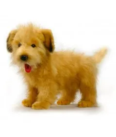 Plush dutch Smoushond dog 4217 Hansa Hansa - 1