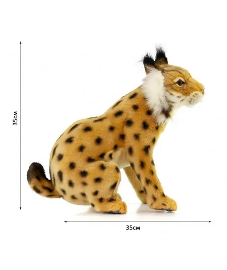Plush spanish lince sitting 4916 Hansa Hansa - 2