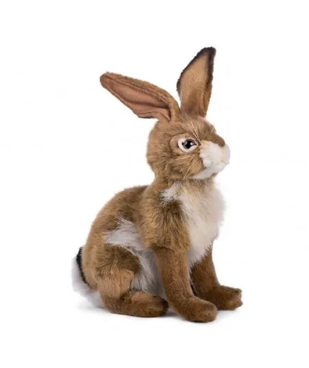 Peluche séance 5431 Hansa Hansa - 1