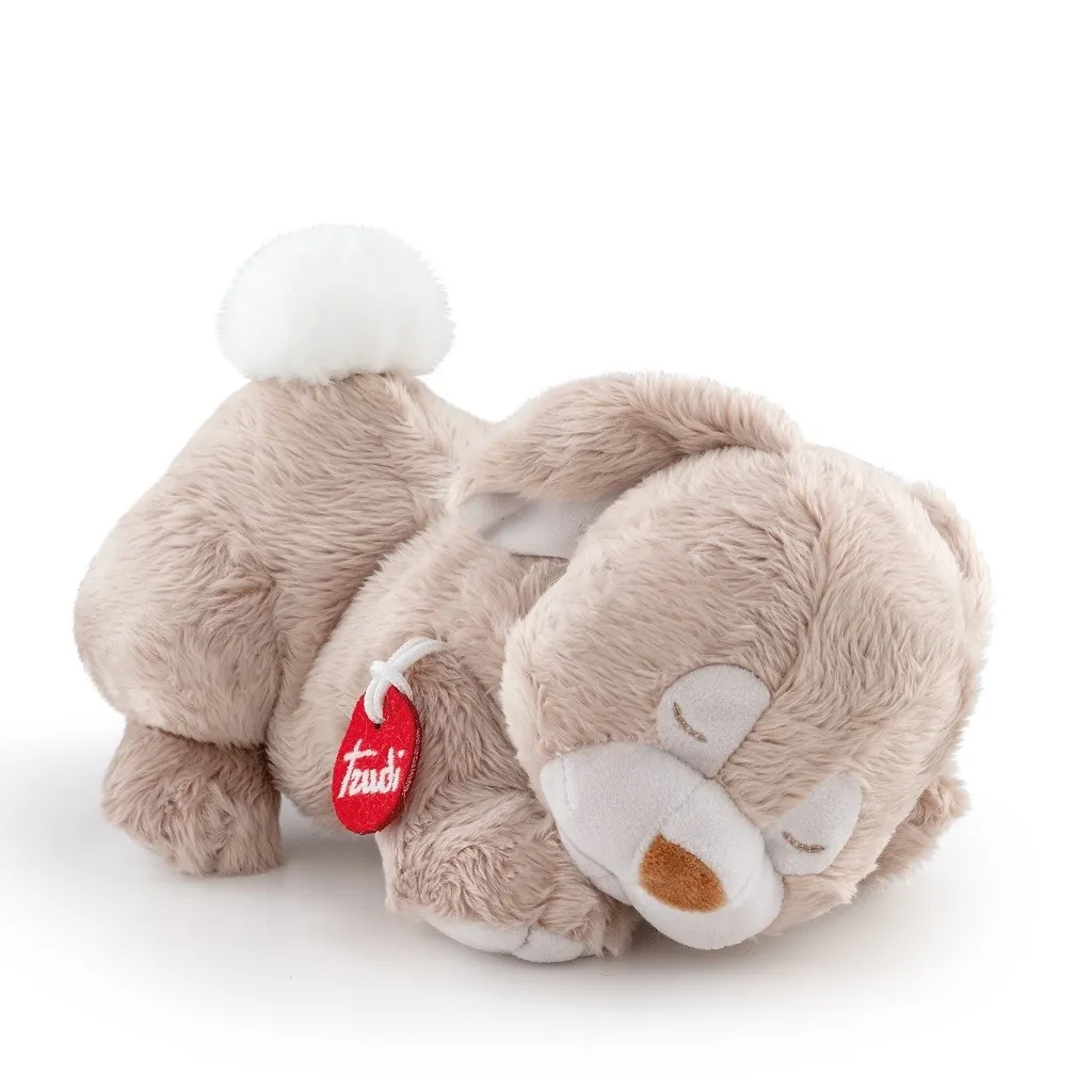 Peluche coniglio Nap nanna TUDF1 Trudi Trudi - 1
