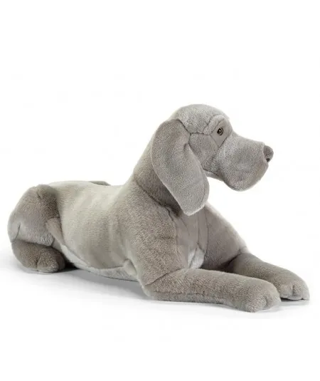 Perukie pies weimaraner Wolfgang rozmiar XXL 22019 Trudi Trudi - 2